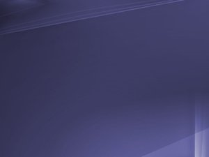 浏览器网页数据自动填表的实用技巧